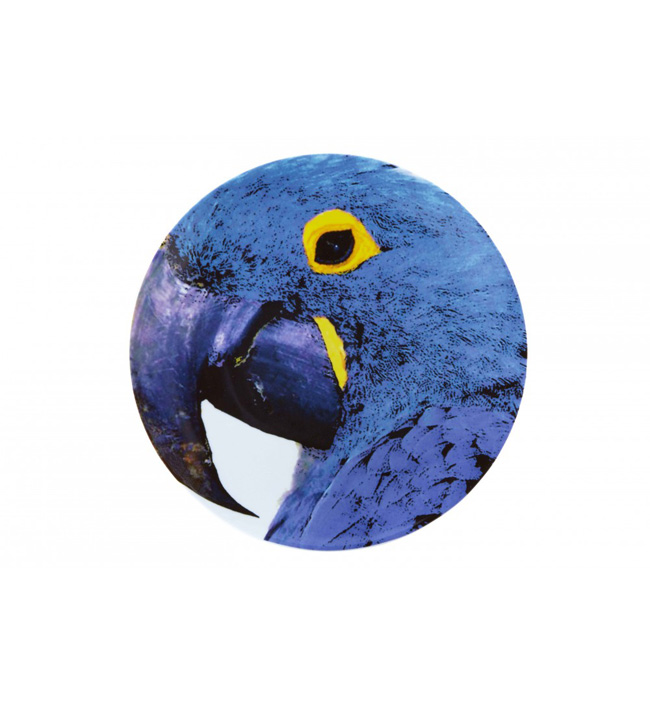 assiette-olhar-o-brasil-perroquet-bleu