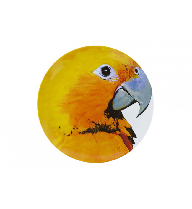 assiette-olhar-o-brasil-perroquet-jaune-