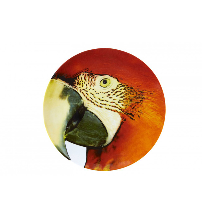 assiette-olhar-o-brasil-perroquet-rouge