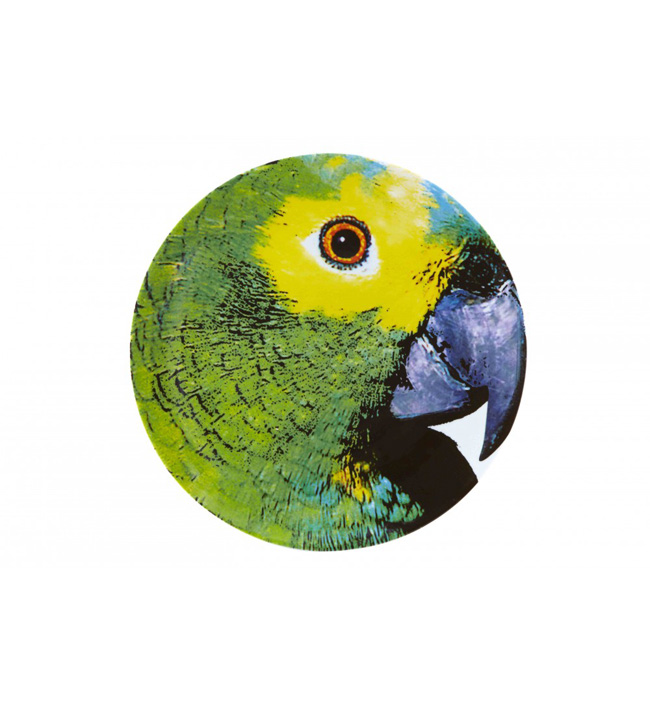 assiette-olhar-o-brasil-perroquet-vert